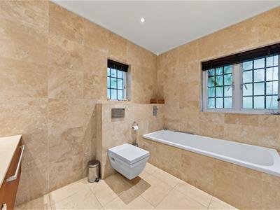 Picture 11